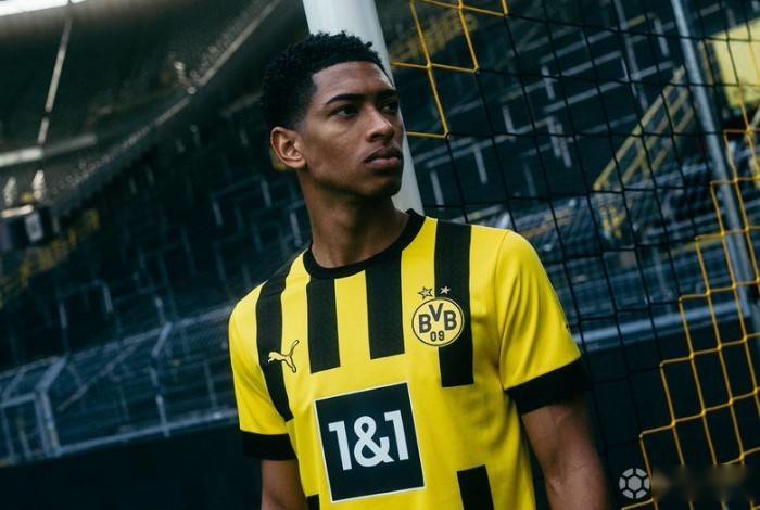 太全面了！杰伦·约翰逊过去5战场均接近30+14+11